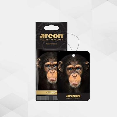 Areon Wild Professor Araç Kokusu