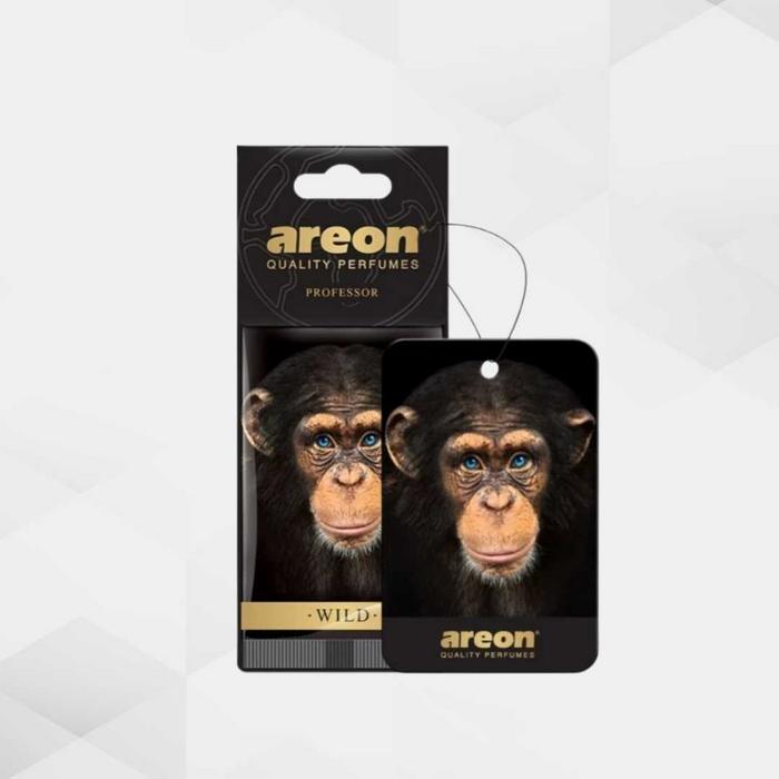Areon Wild Professor Araç Kokusu